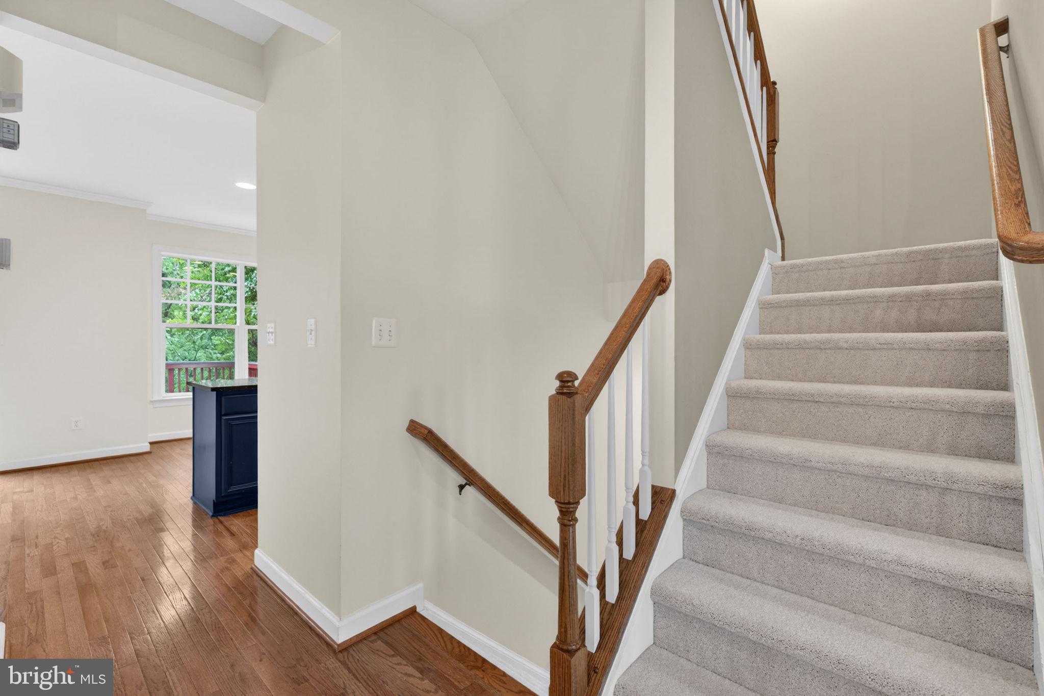MEADOWS AT MORRIS FARM - Residential