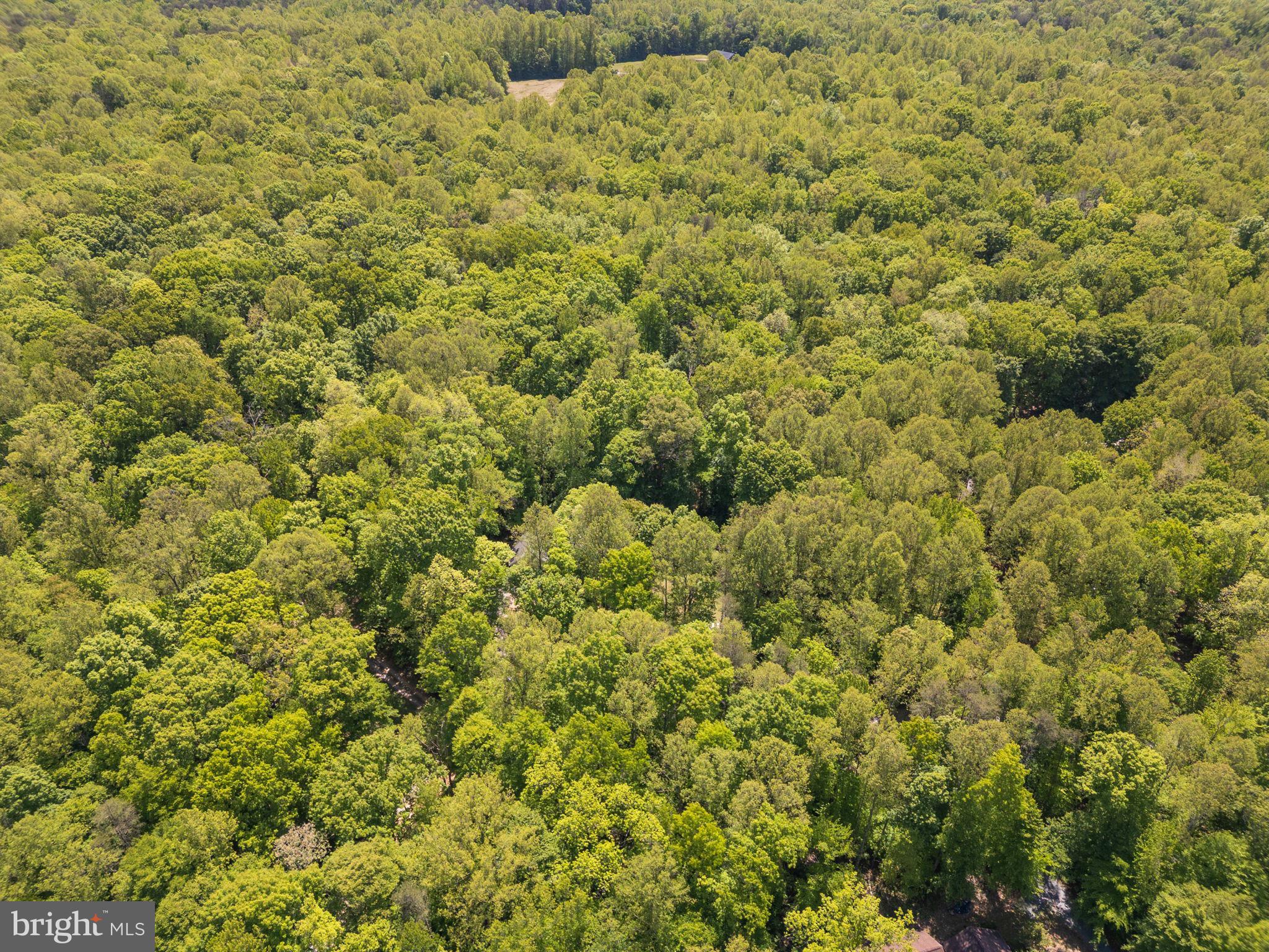 CEDAR RUN - Residential