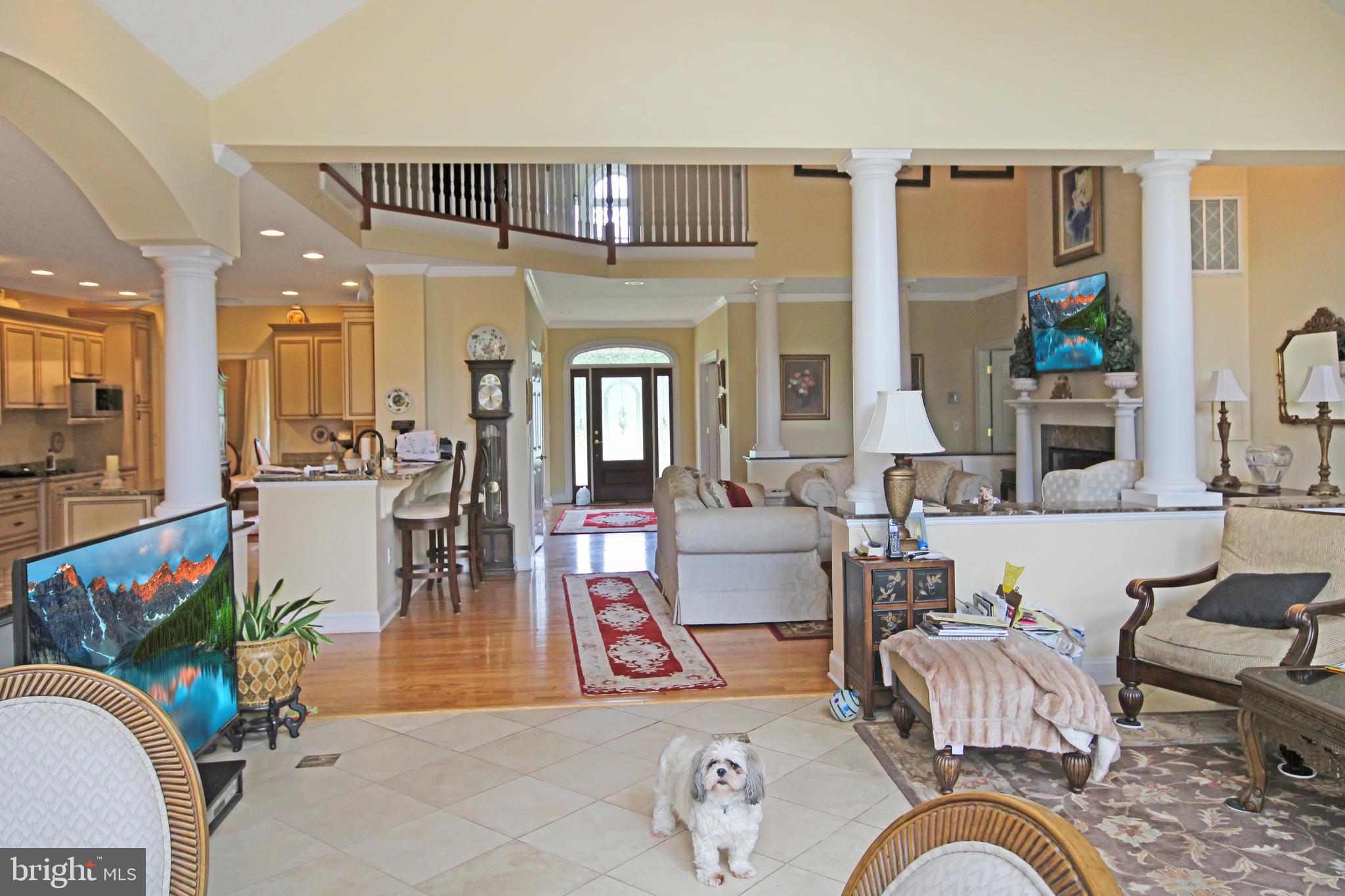 32675 DISCOVERY DRIVE