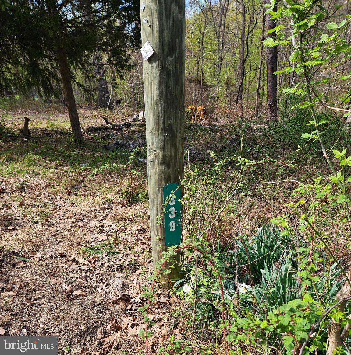 KEYES FERRY ACRES - Land