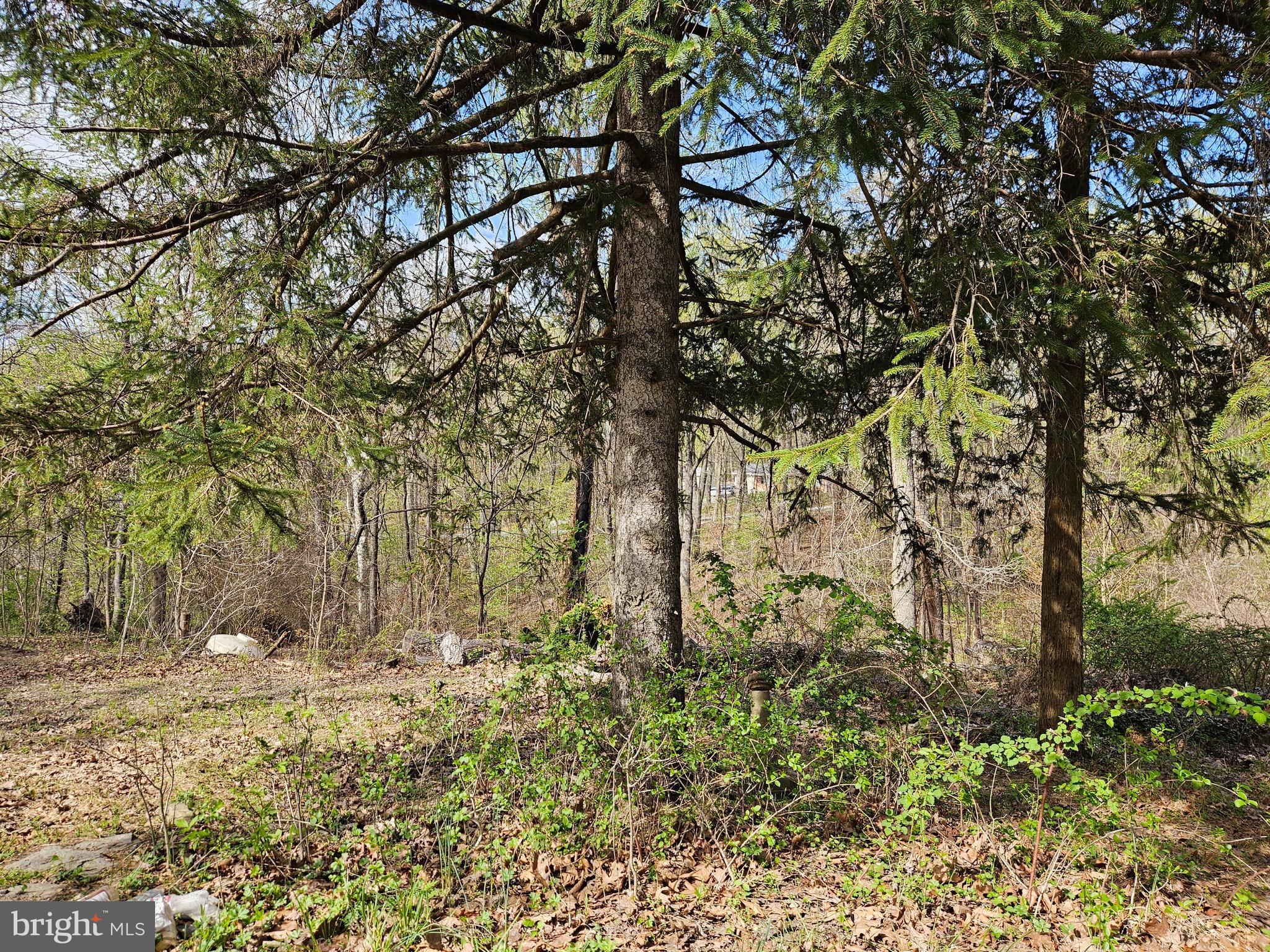 KEYES FERRY ACRES - Land