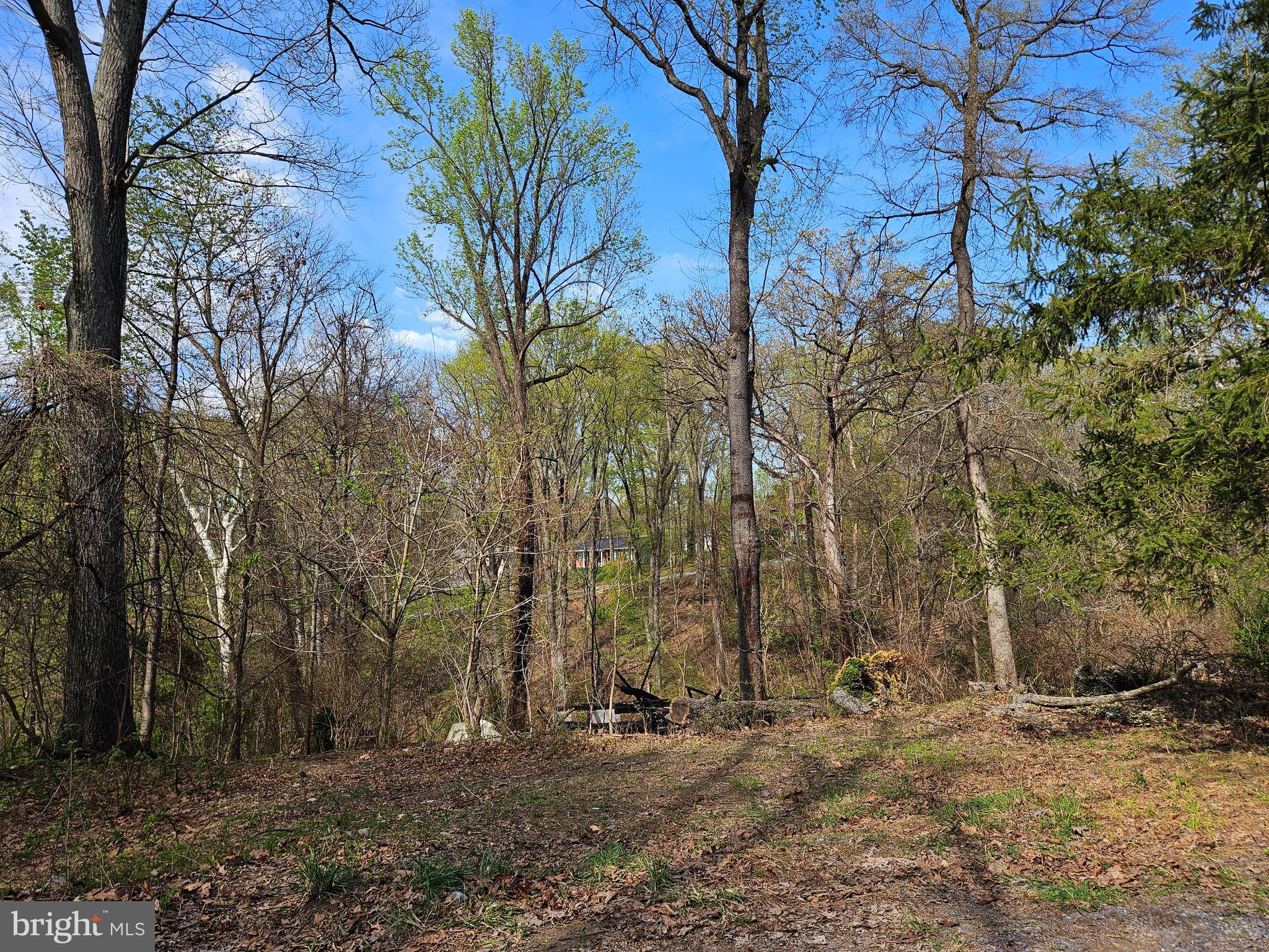 KEYES FERRY ACRES - Land