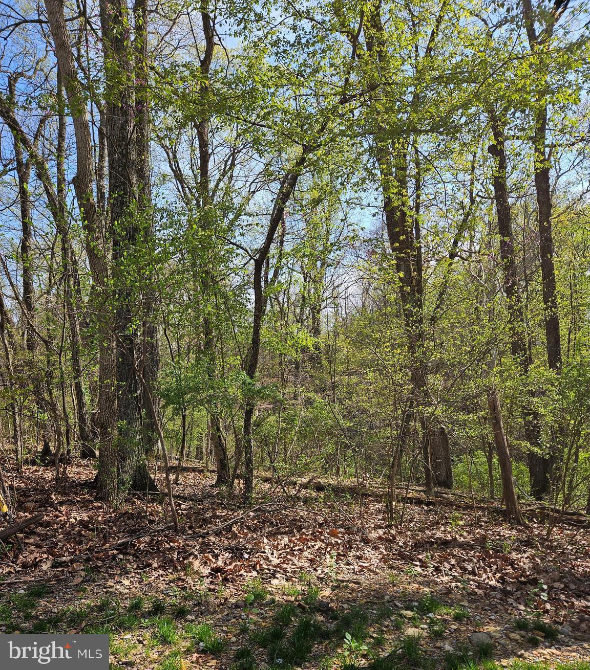 KEYES FERRY ACRES - Land