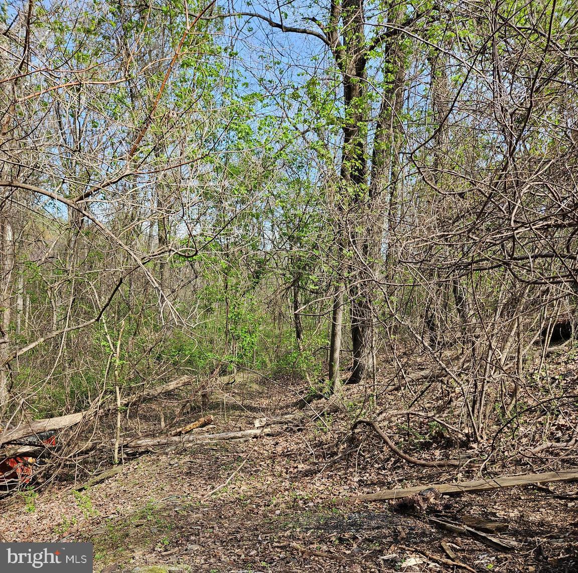 KEYES FERRY ACRES - Land