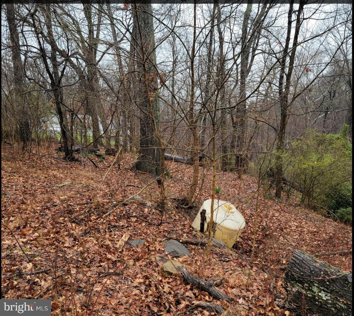 KEYES FERRY ACRES - Land