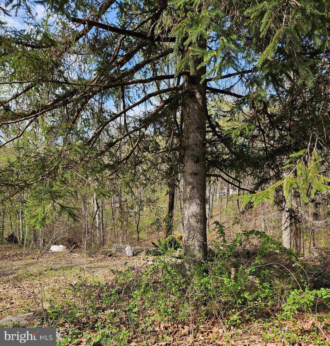 KEYES FERRY ACRES - Land