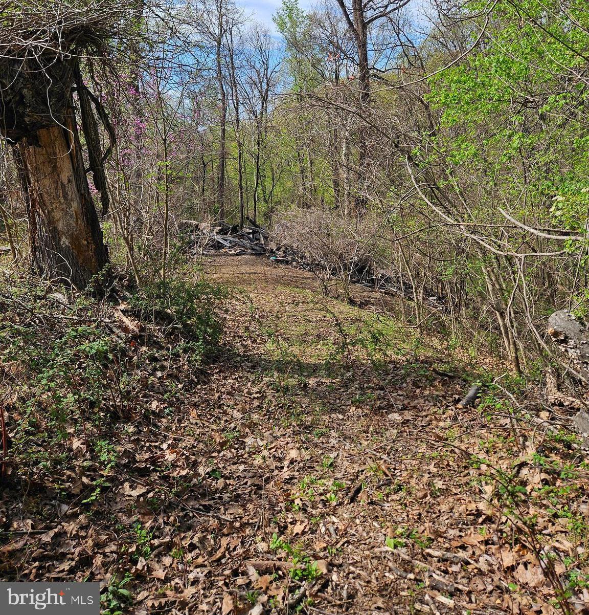 KEYES FERRY ACRES - Land