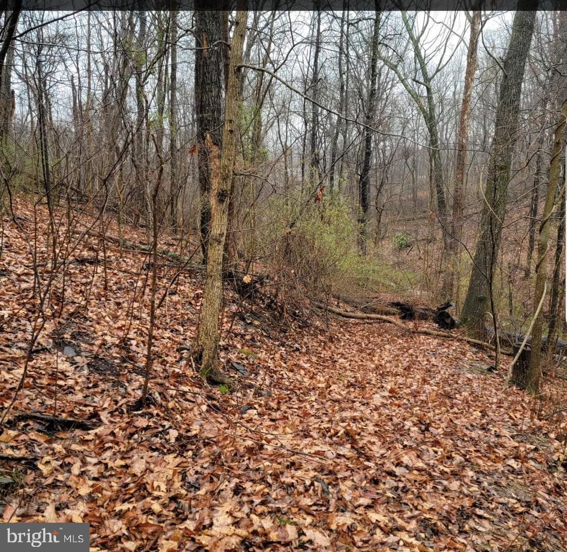 KEYES FERRY ACRES - Land