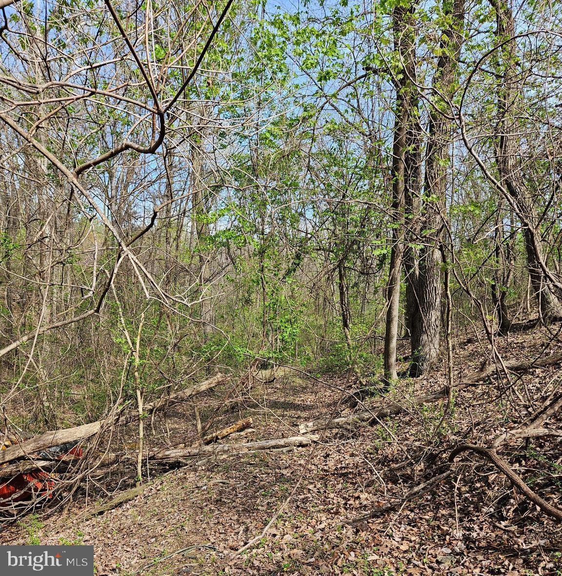 KEYES FERRY ACRES - Land