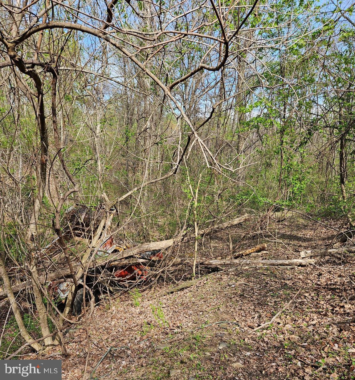 KEYES FERRY ACRES - Land