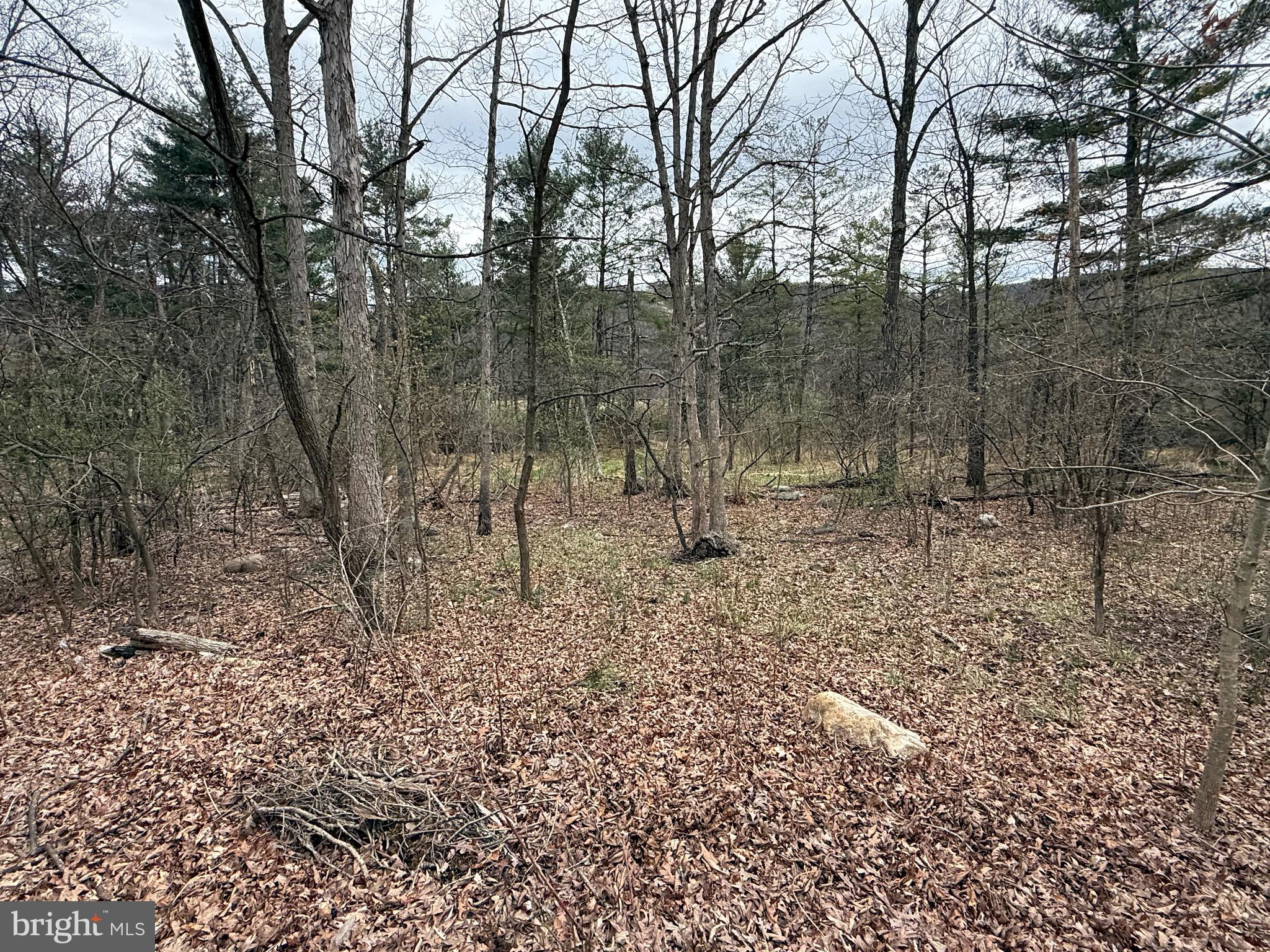 TIMBERLAKE ESTATES - LOT 4