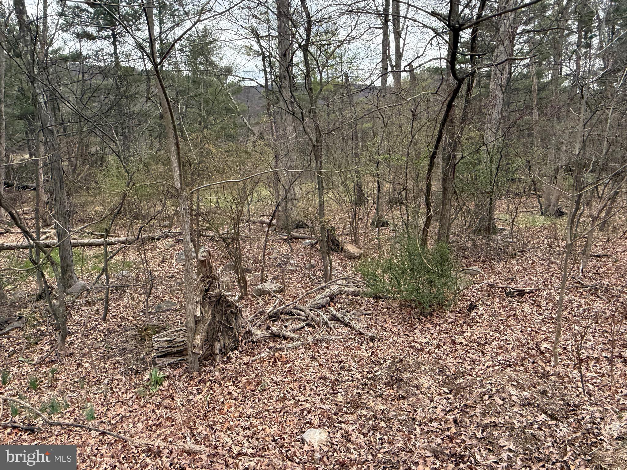 TIMBERLAKE ESTATES - LOT 4