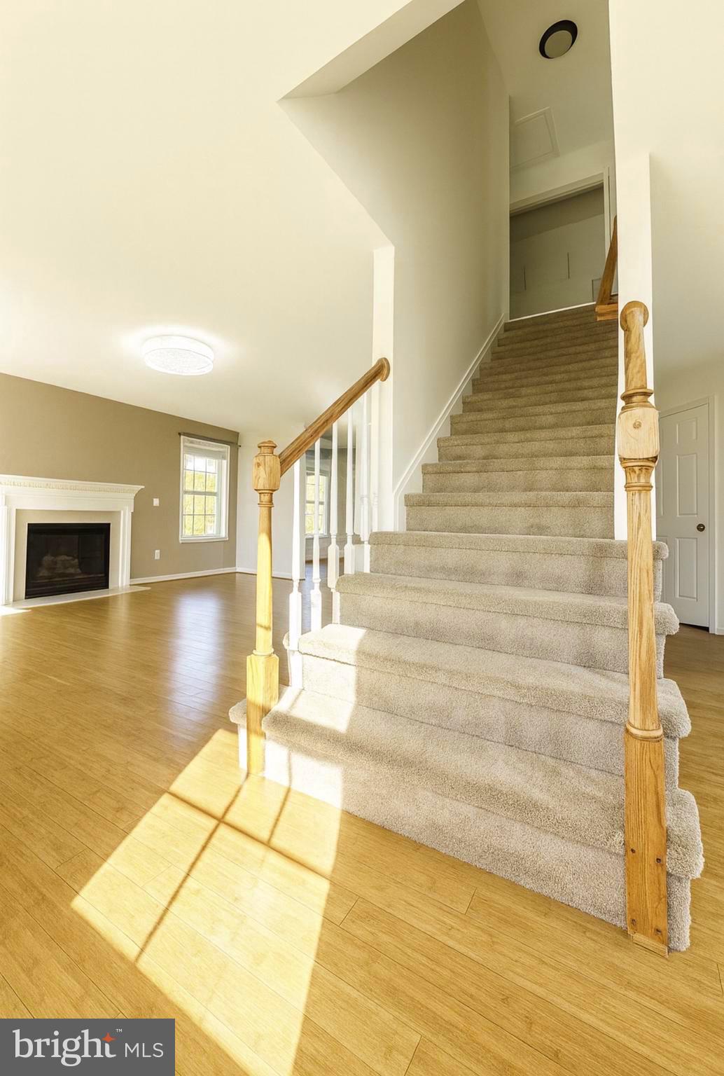 4 WHITE BONNET COURT