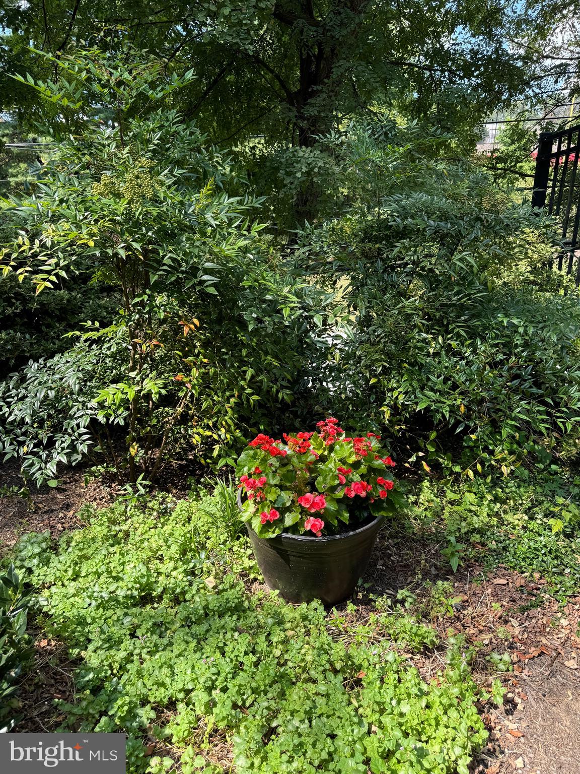 POTOMAC OUTSIDE - Residential