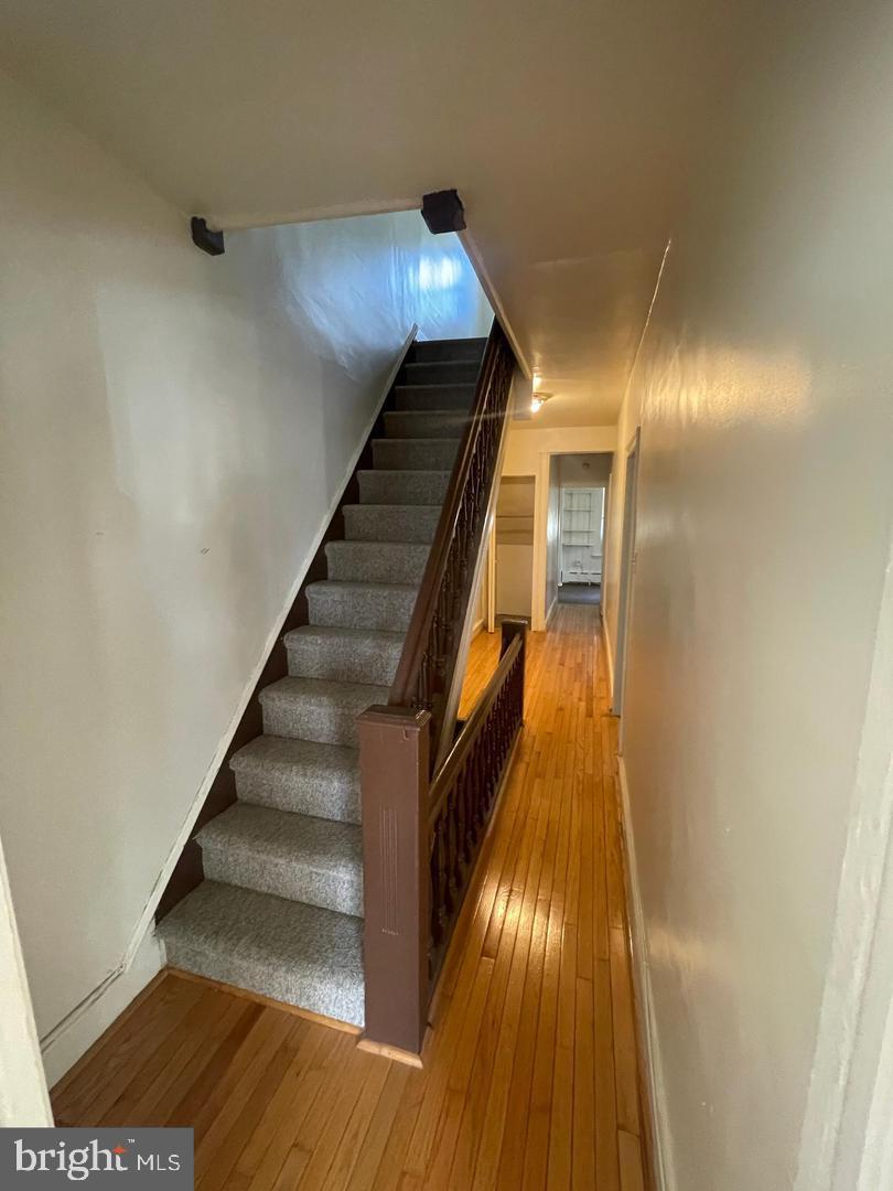 EAST FALLS - Residential Lease