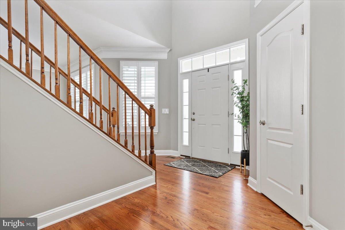 ELYSIAN HEIGHTS - Residential