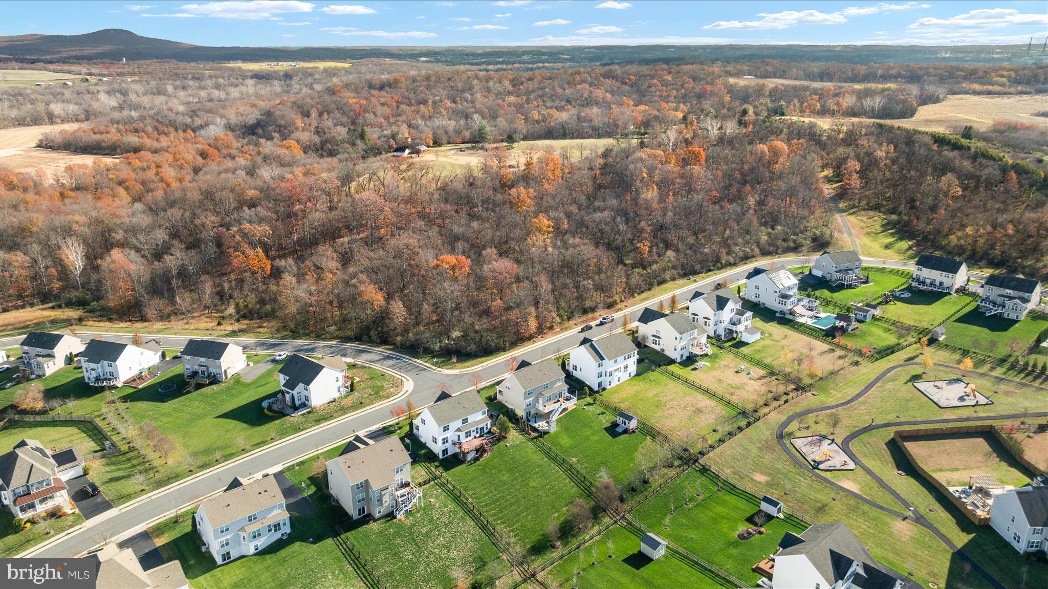 ELYSIAN HEIGHTS - Residential