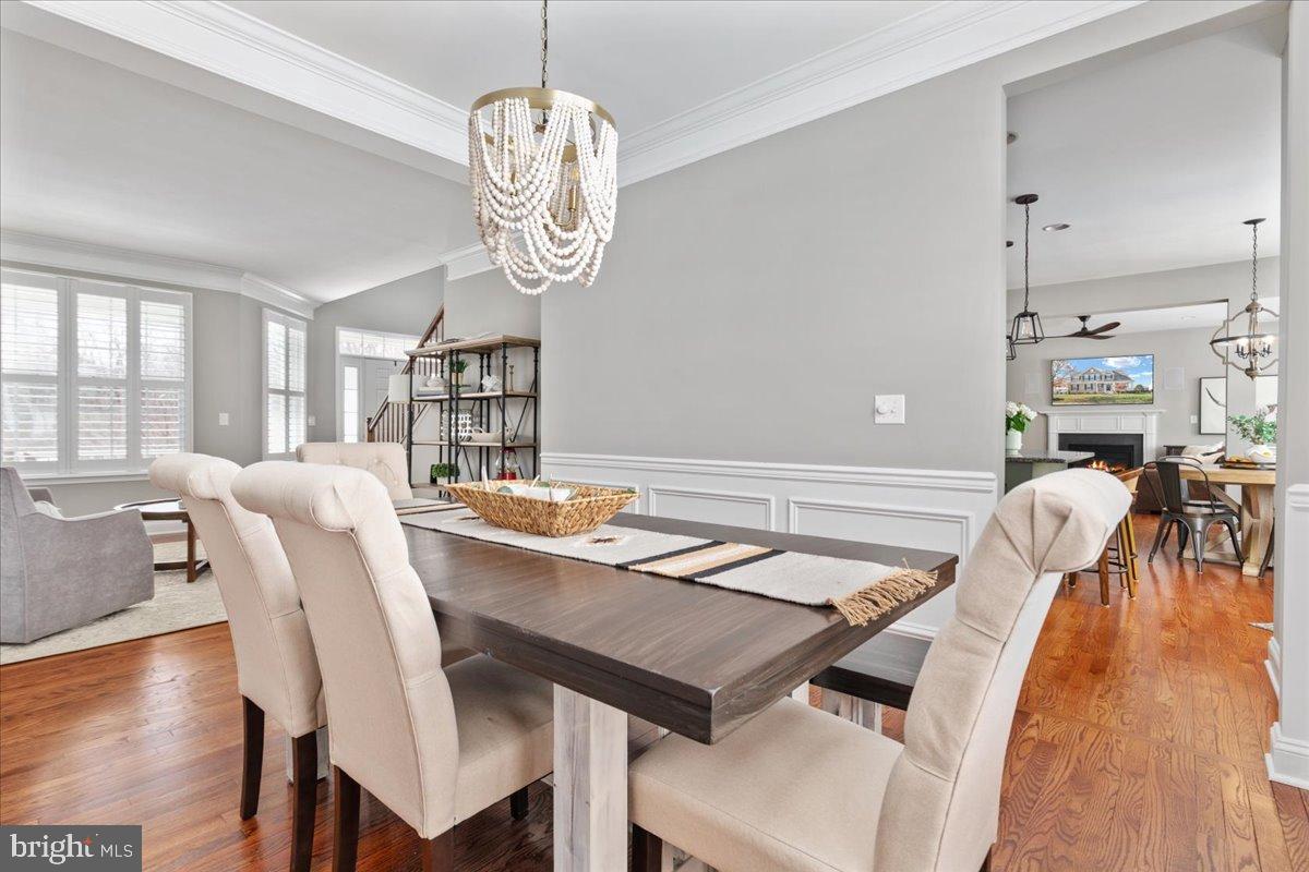 ELYSIAN HEIGHTS - Residential