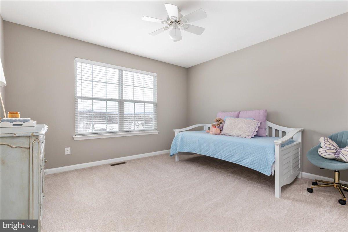 ELYSIAN HEIGHTS - Residential