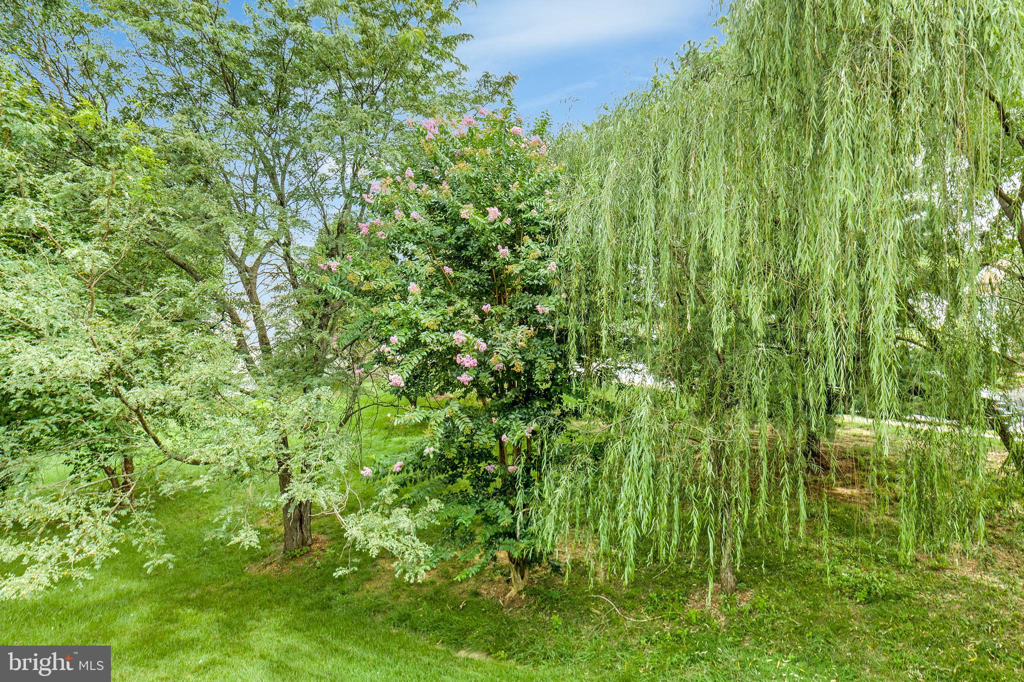 LANDSDOWNE - Residential Lease