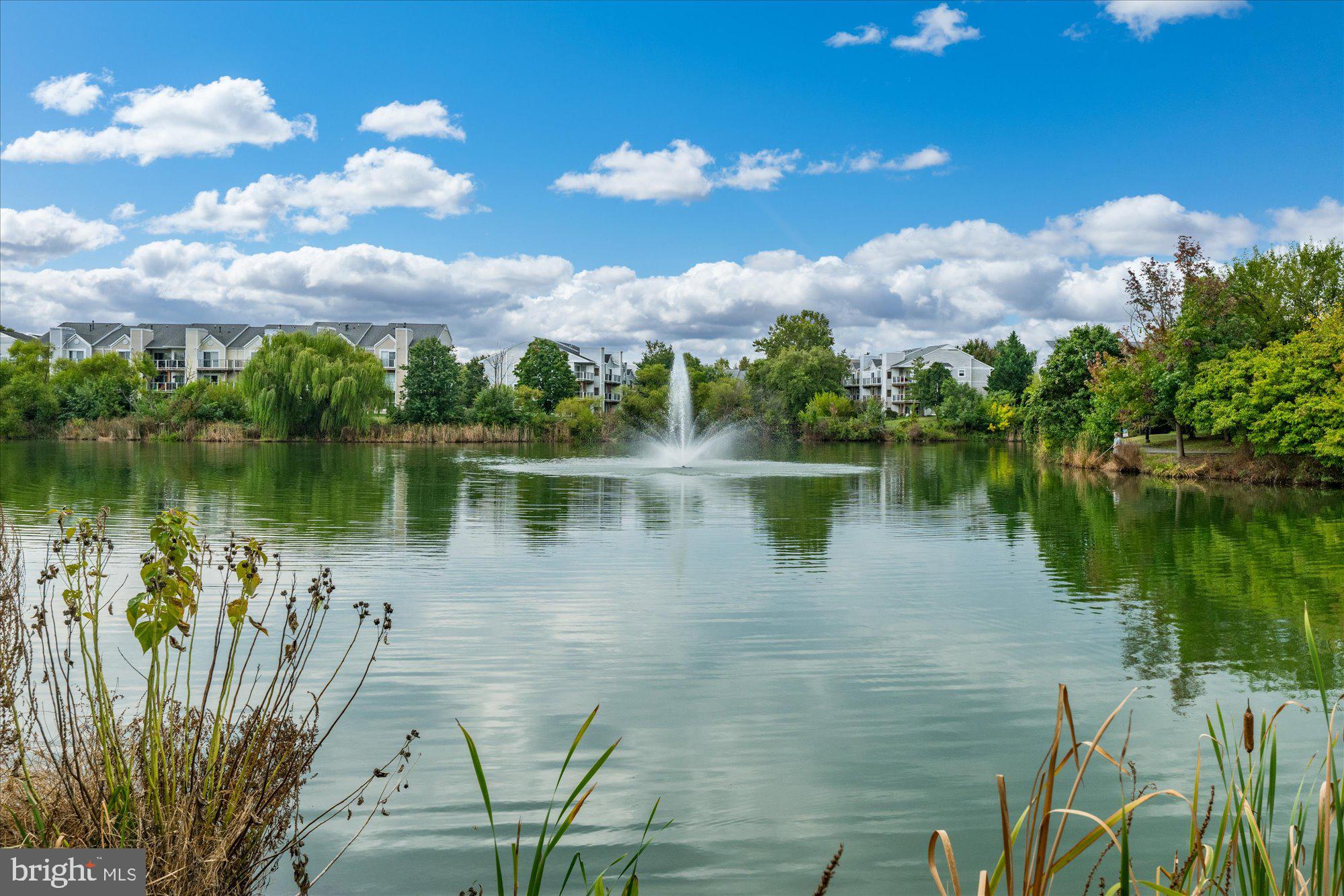 ASHBURN VILLAGE - Residential