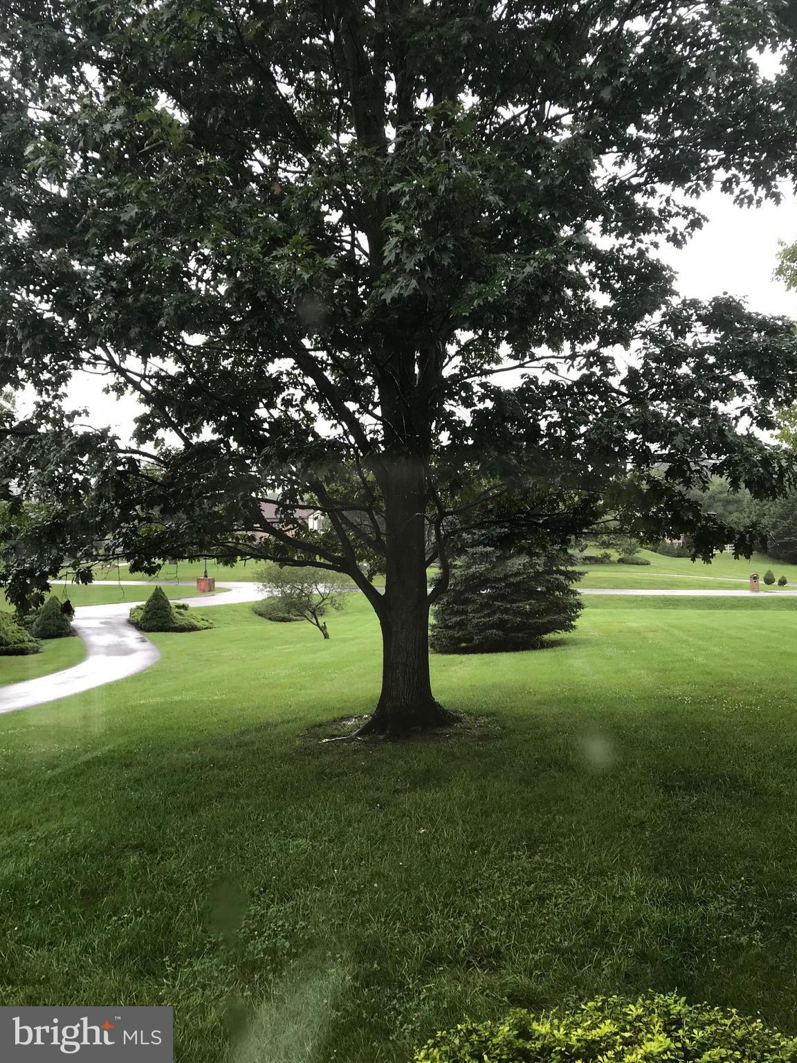 TUSCARORA SPRINGS - Residential