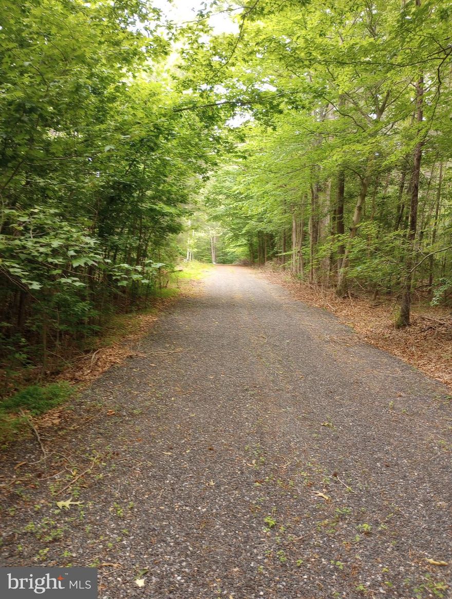 Very nice buildable lot with approved perks but would do your due diligence to make sure perk is still valid. They had a 3 bedroom house ready to build on the 3acres by Middleton in Brandywine. not sure the size! Also a 6.6 acre lot available beside this one is available under 4530 Amelia Pl.