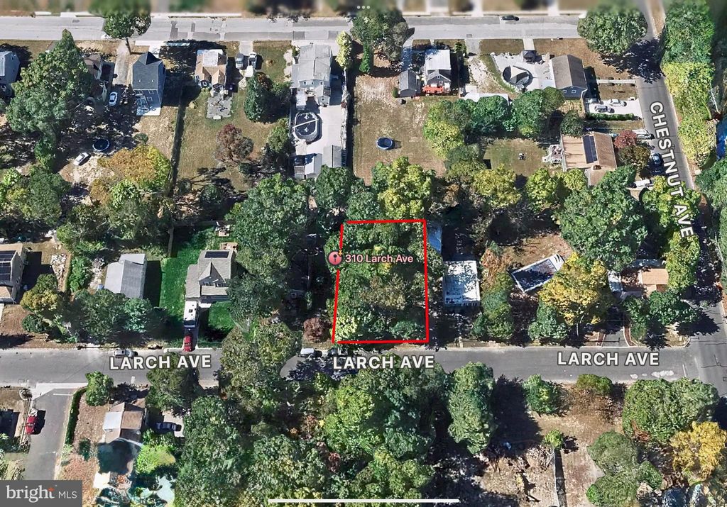 Photo of 310 Larch Avenue, WEST BERLIN, NJ 08091 (MLS # NJCD2103272)