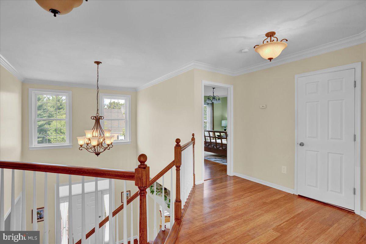 TALAMORE - Residential