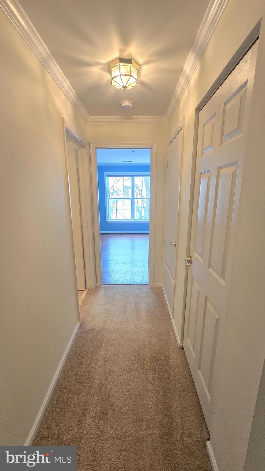 CARDINAL PLACE - Residential