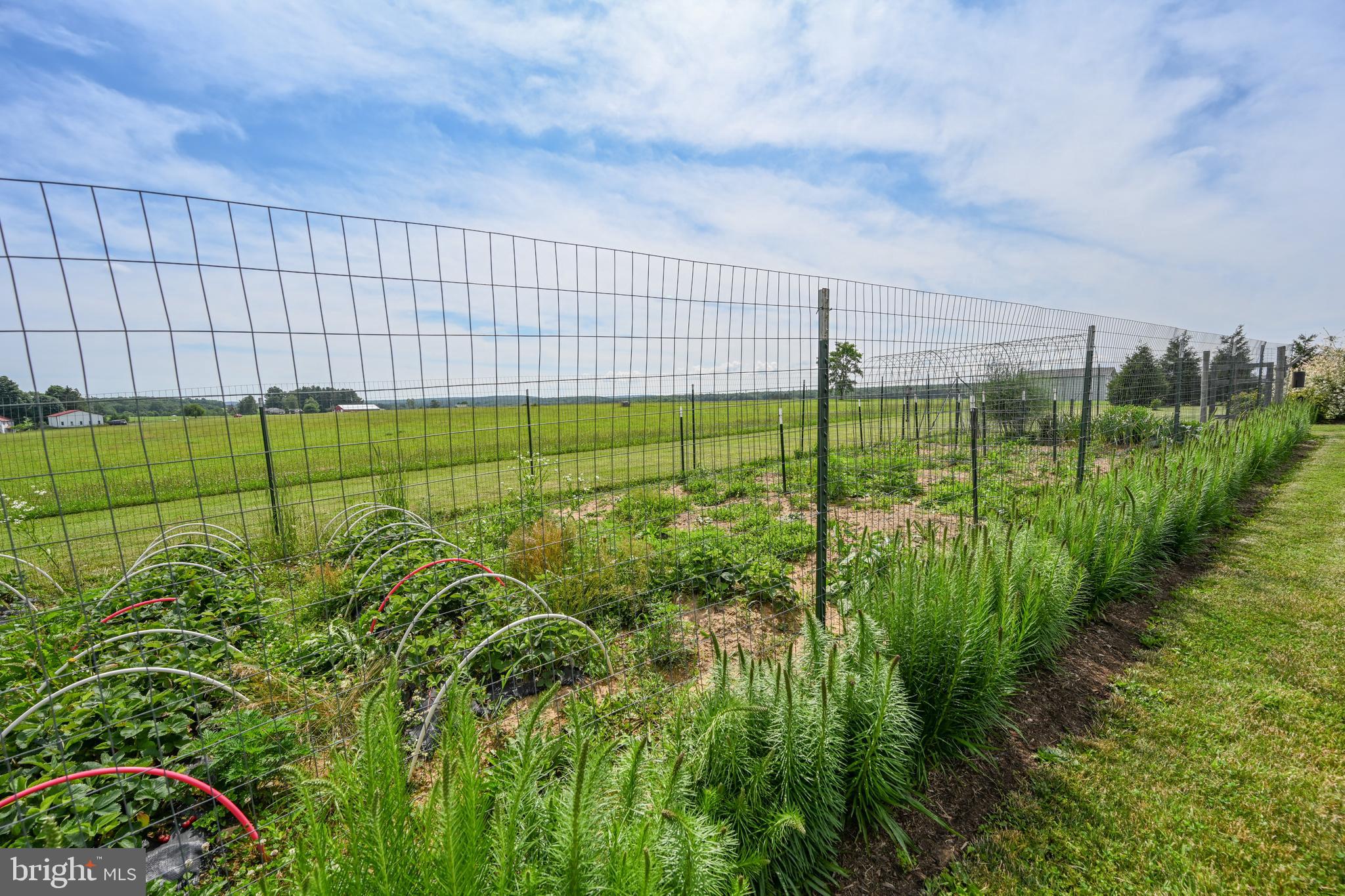 CHERRY CREEK FARM - Residential