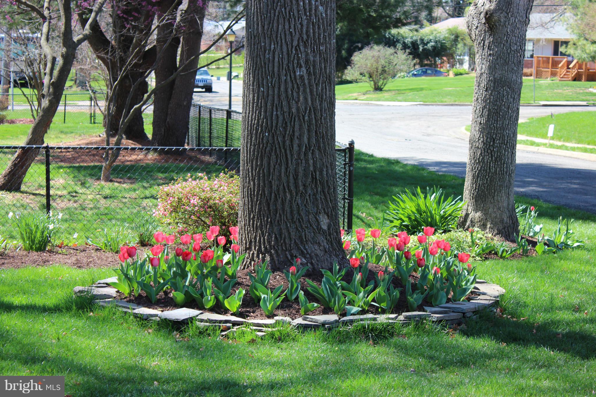 FAIRFAX WOODS - Residential