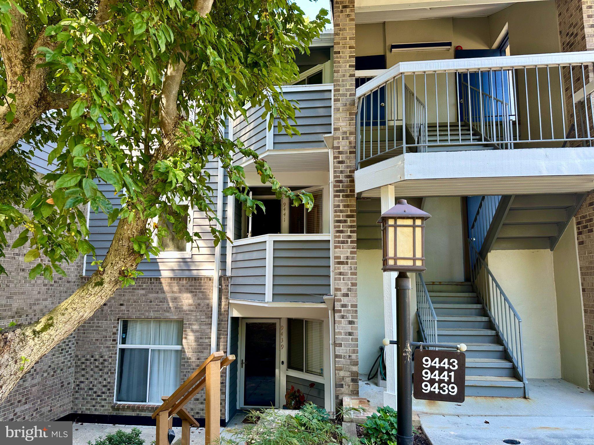 9441 HICKORY LIMB 202