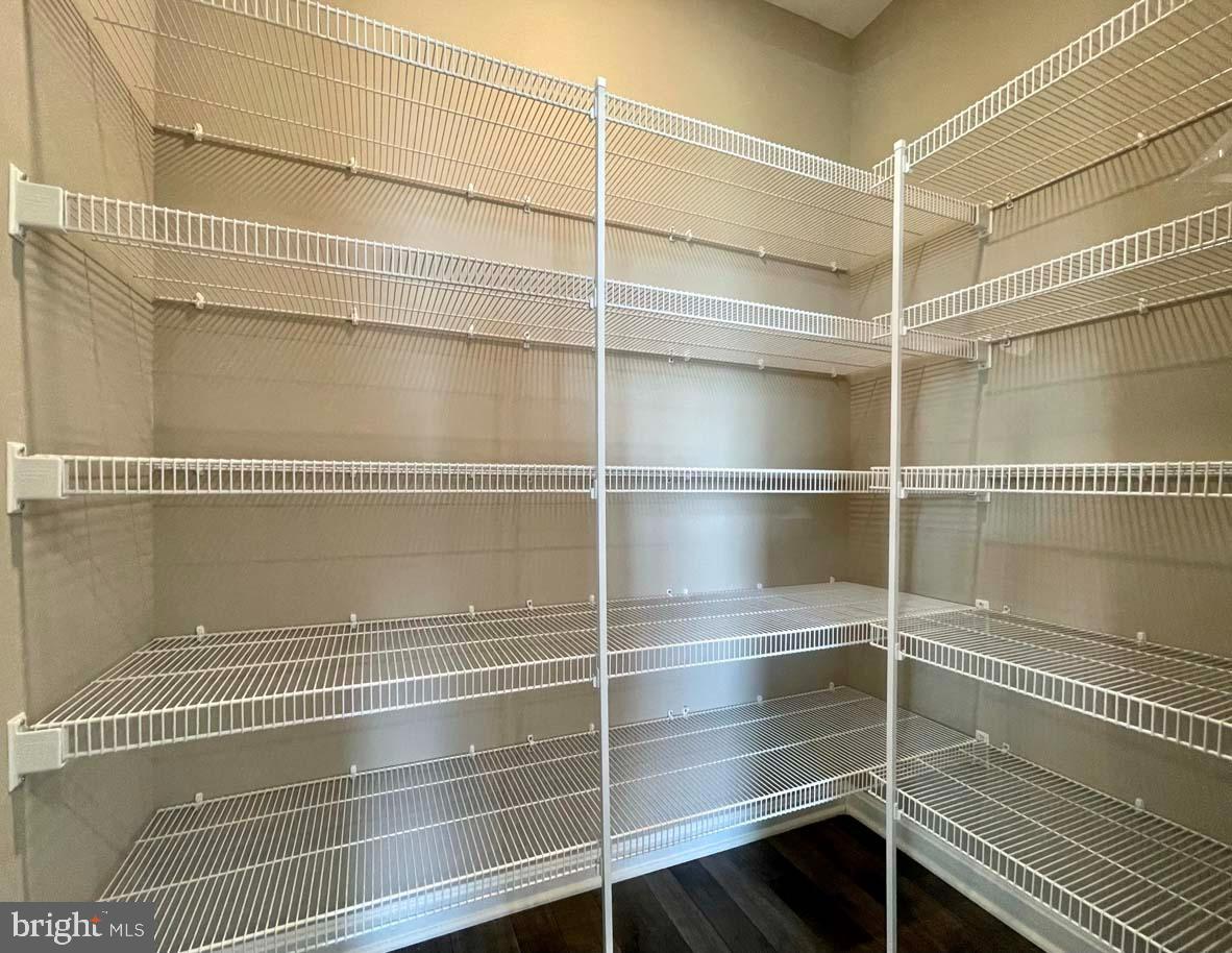 SASSAFRAS MEADOWS - Residential