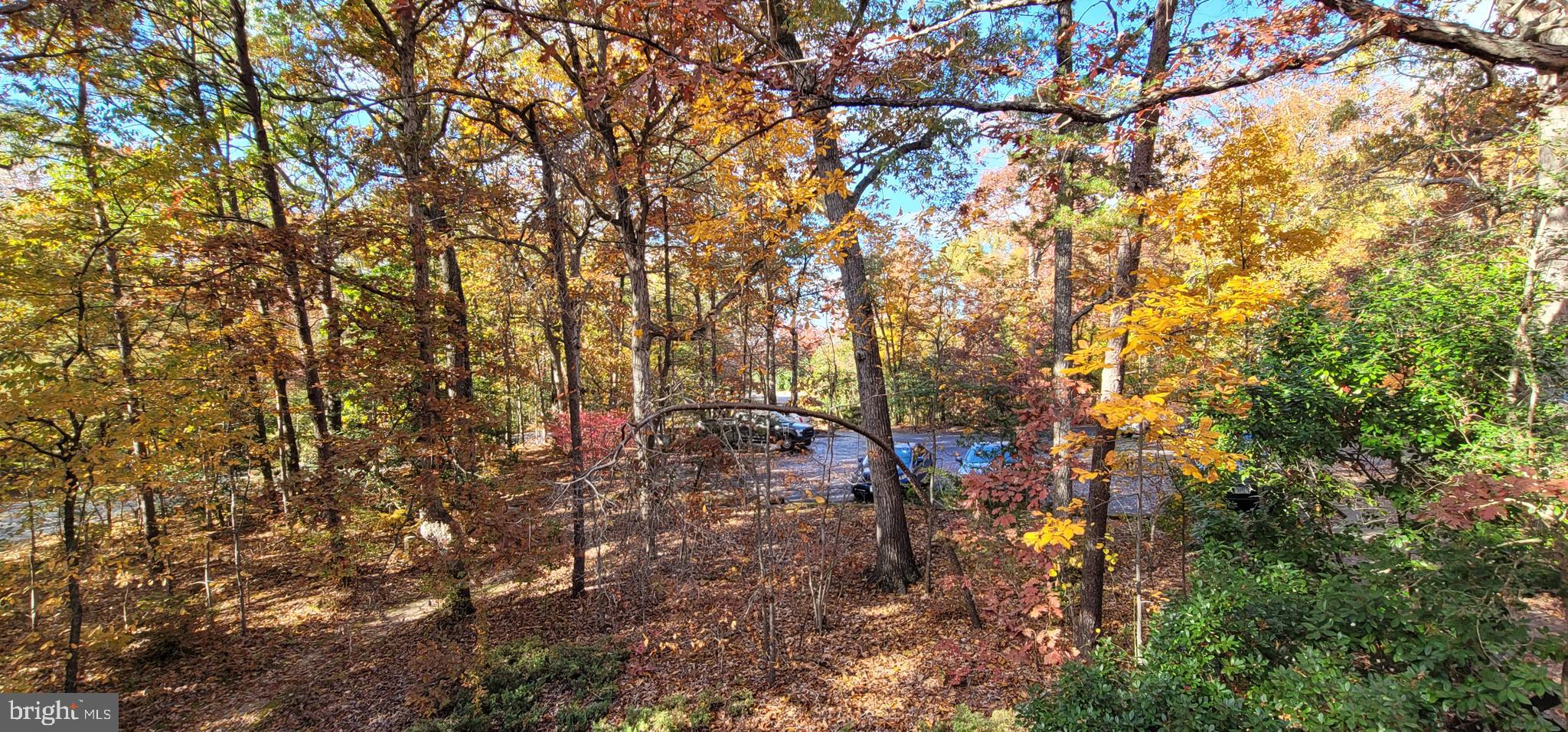 ORCHID PARK OF WILDEWOOD - Residential Lease