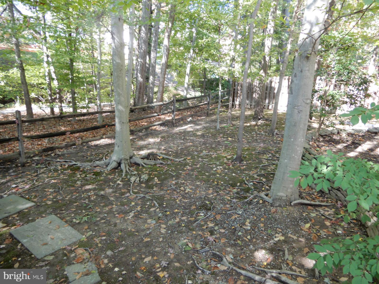 ROLLING FOREST - Residential Lease