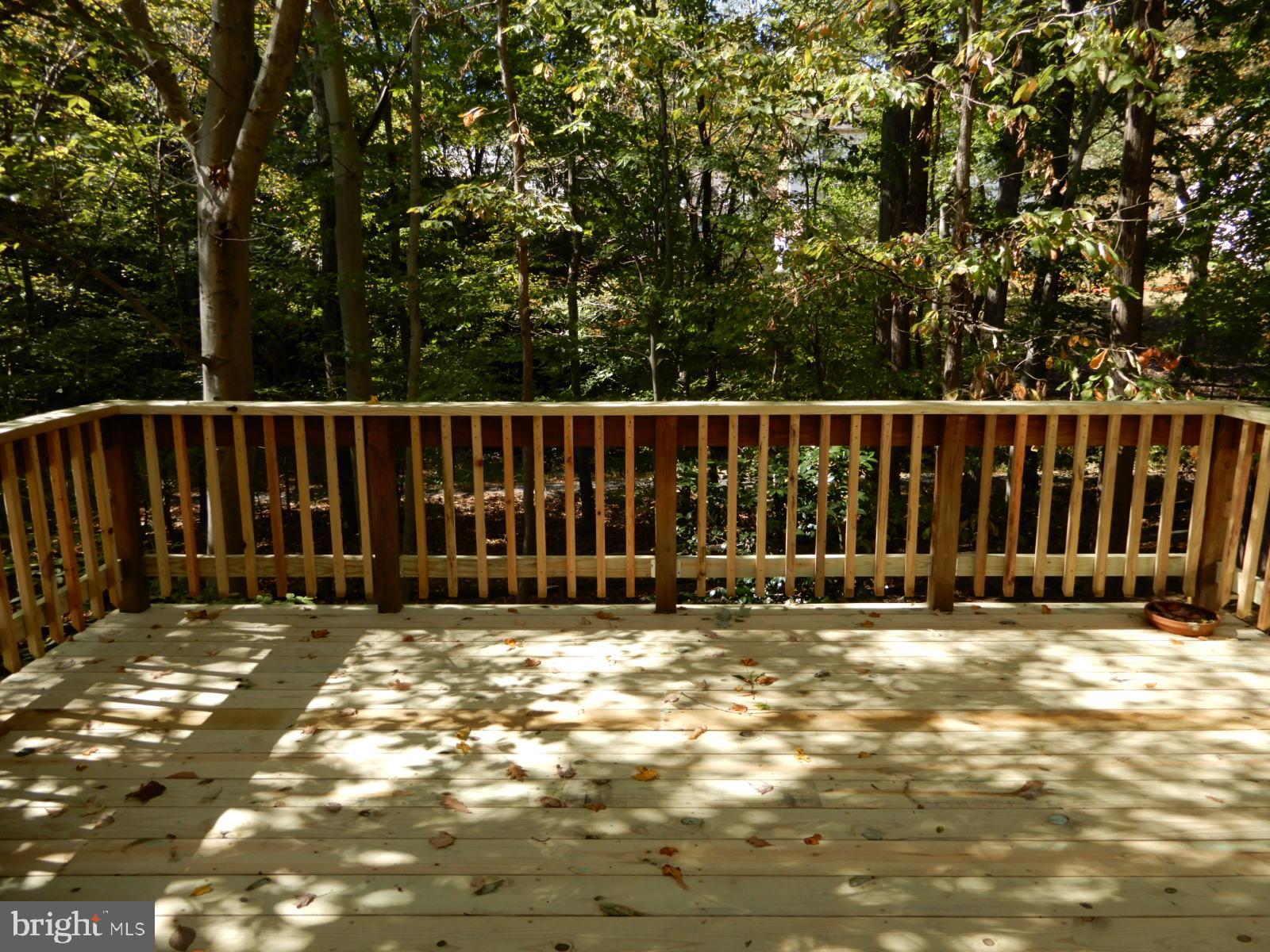 ROLLING FOREST - Residential Lease