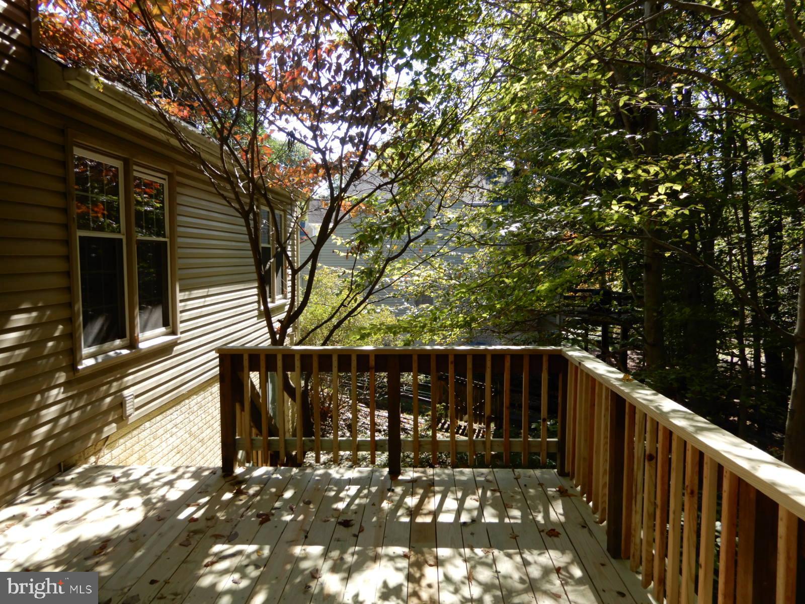 ROLLING FOREST - Residential Lease