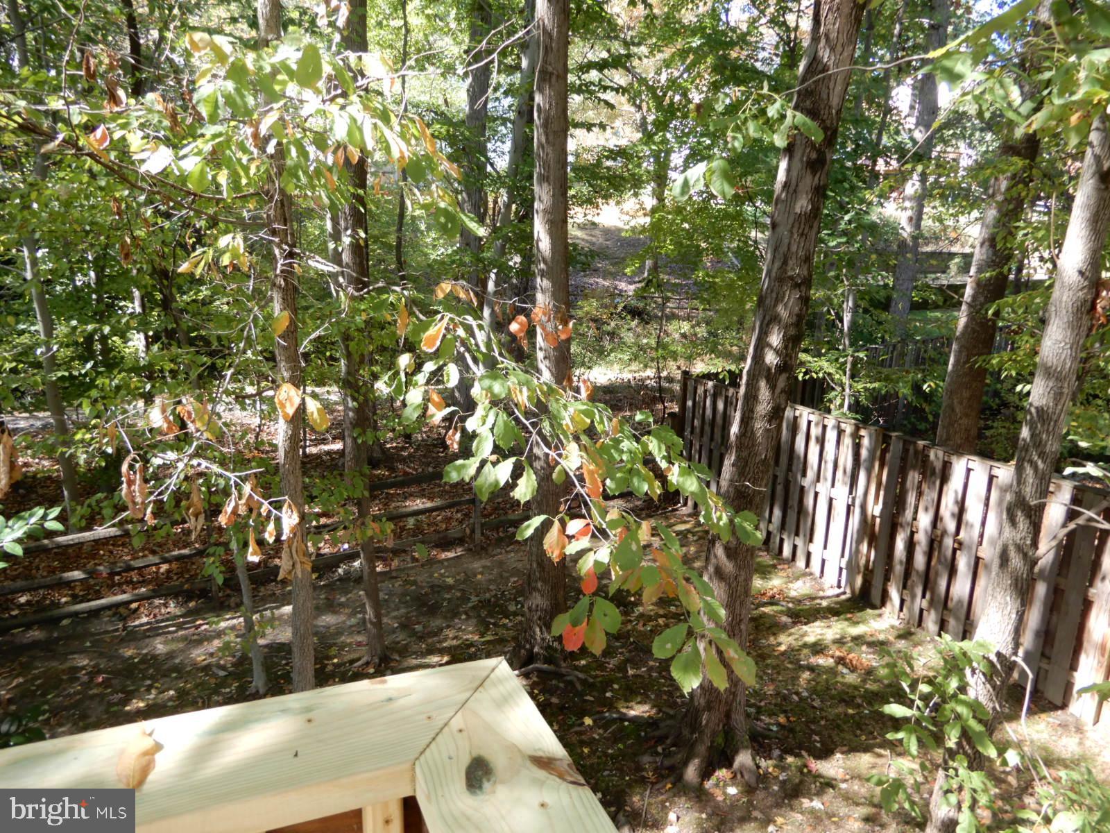 ROLLING FOREST - Residential Lease