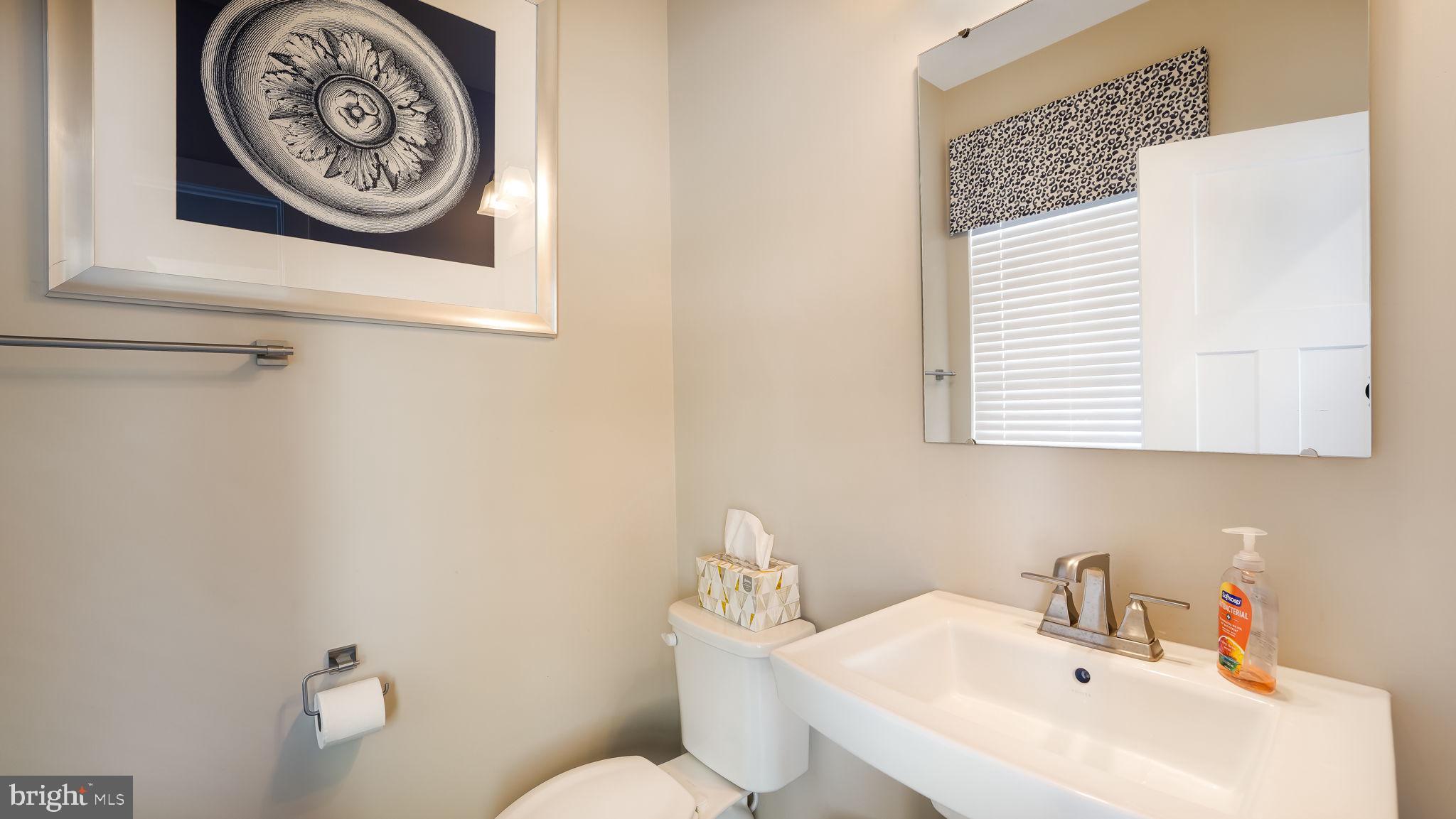 CHESTNUT RIDGE - Residential