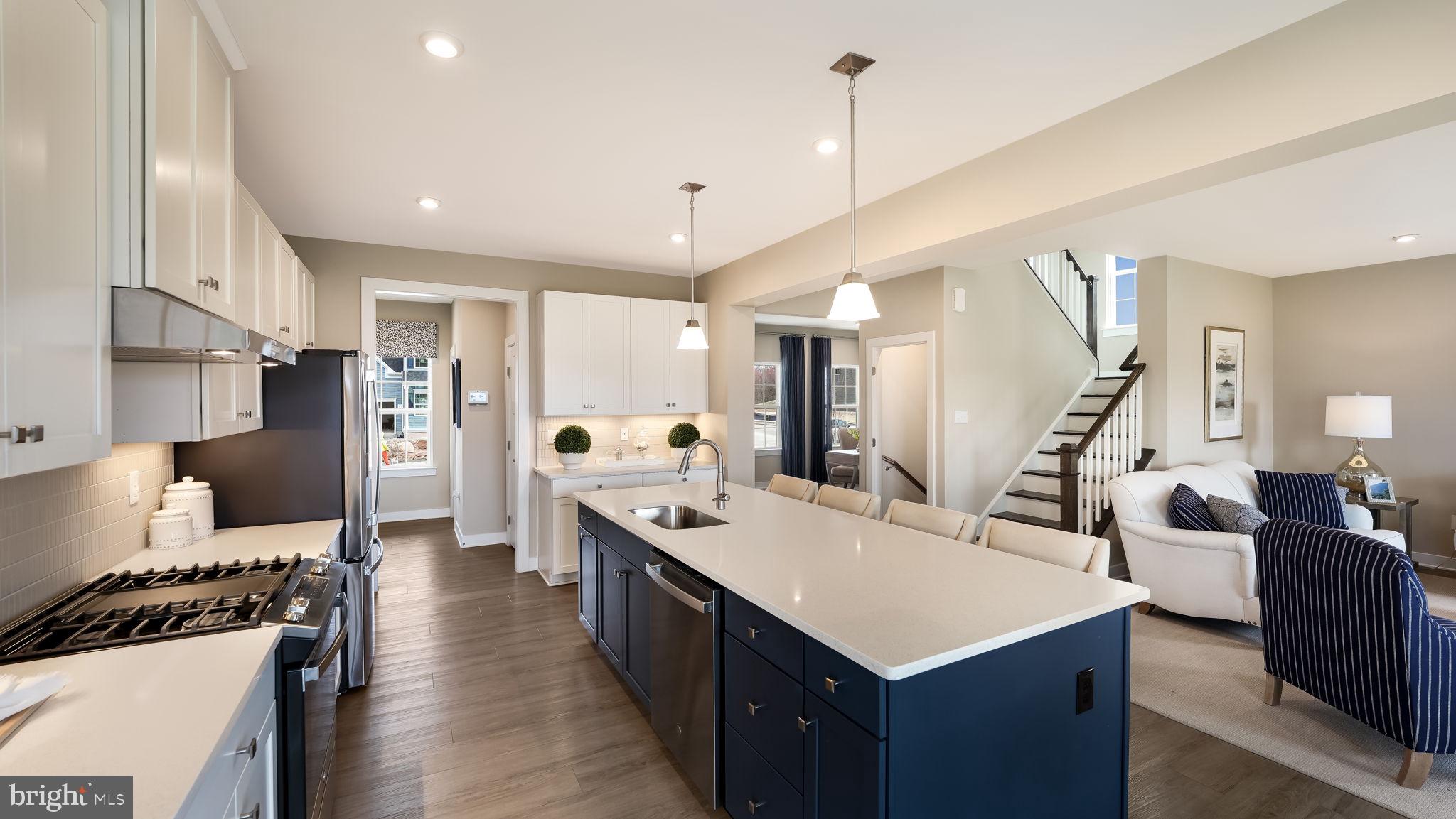 CHESTNUT RIDGE - Residential