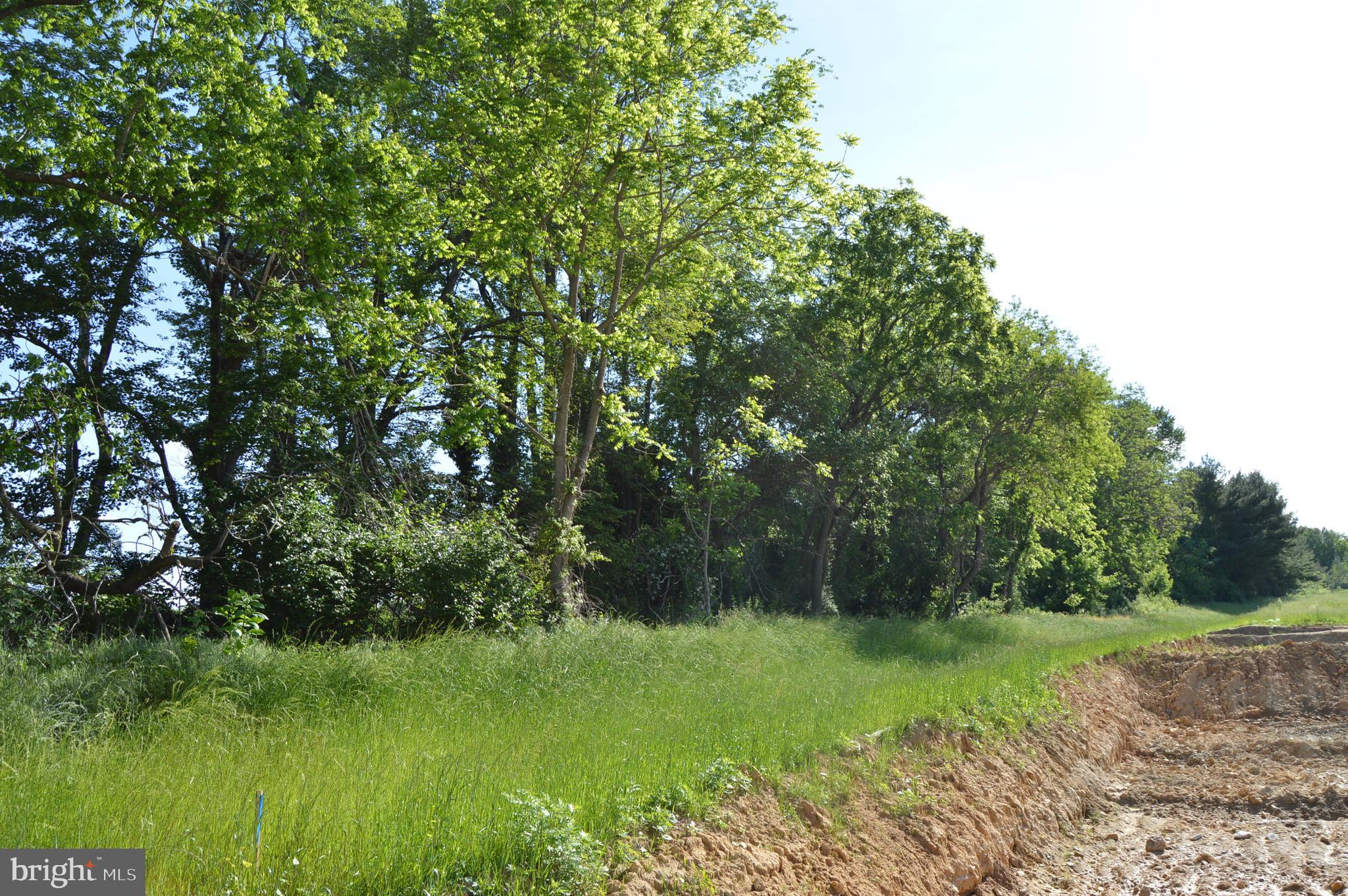 COPPERLEAF RIDGE - Residential