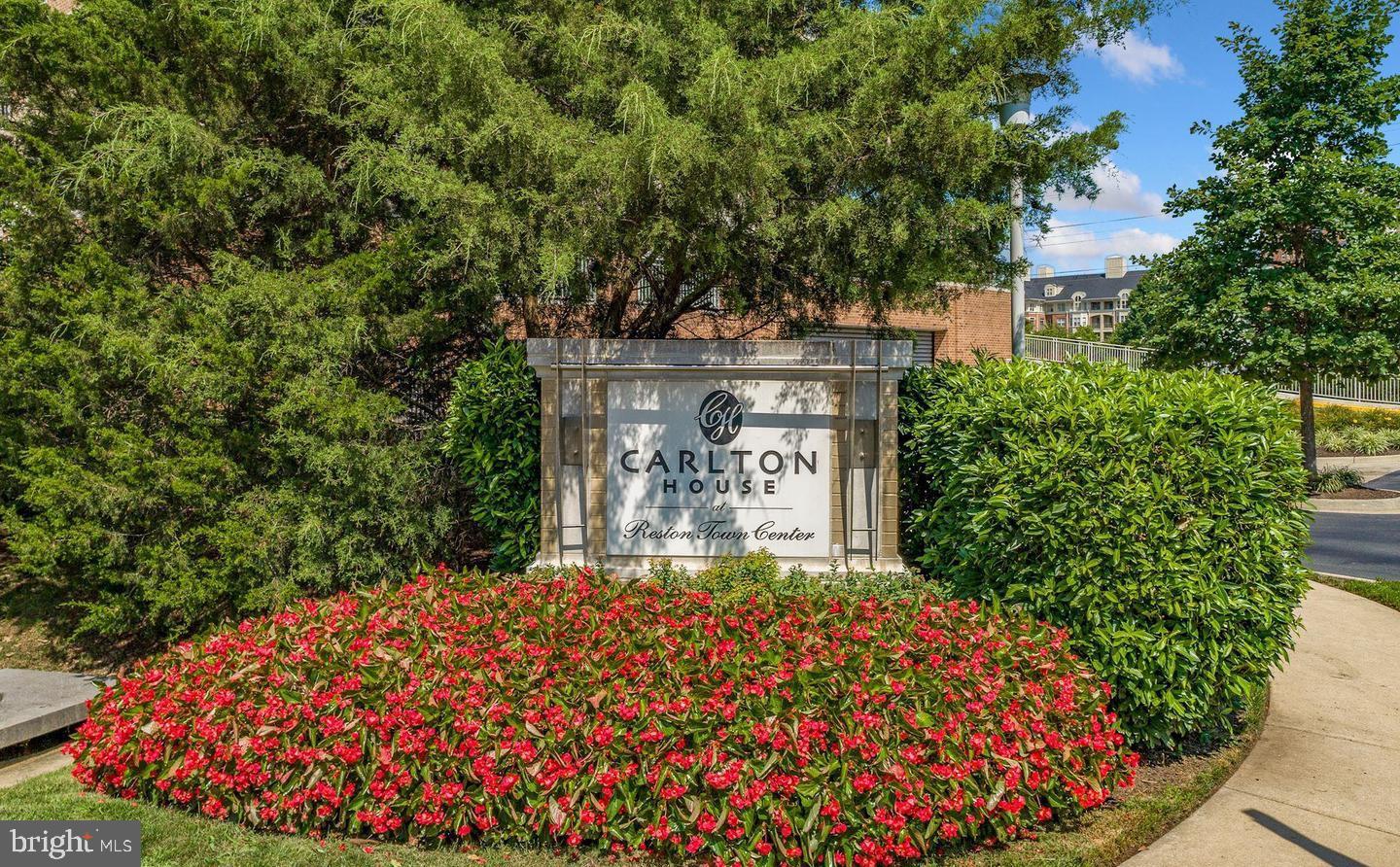 CARLTON HOUSE - Residential Lease