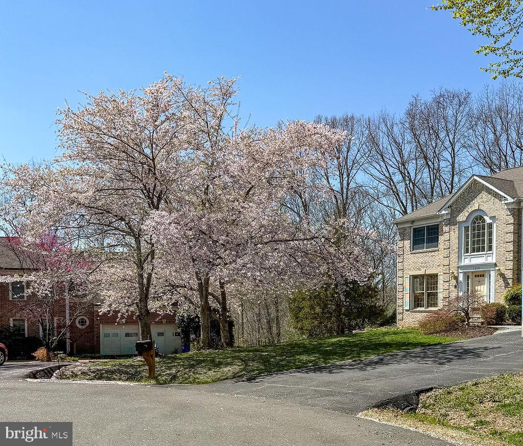 SHAKER WOODS - Residential