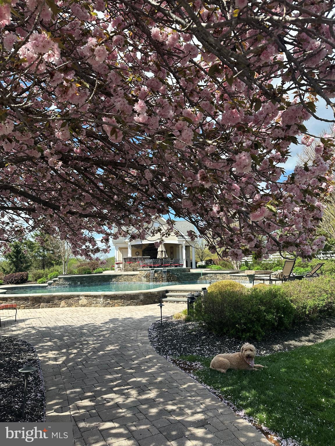 CHALLEDON - Residential