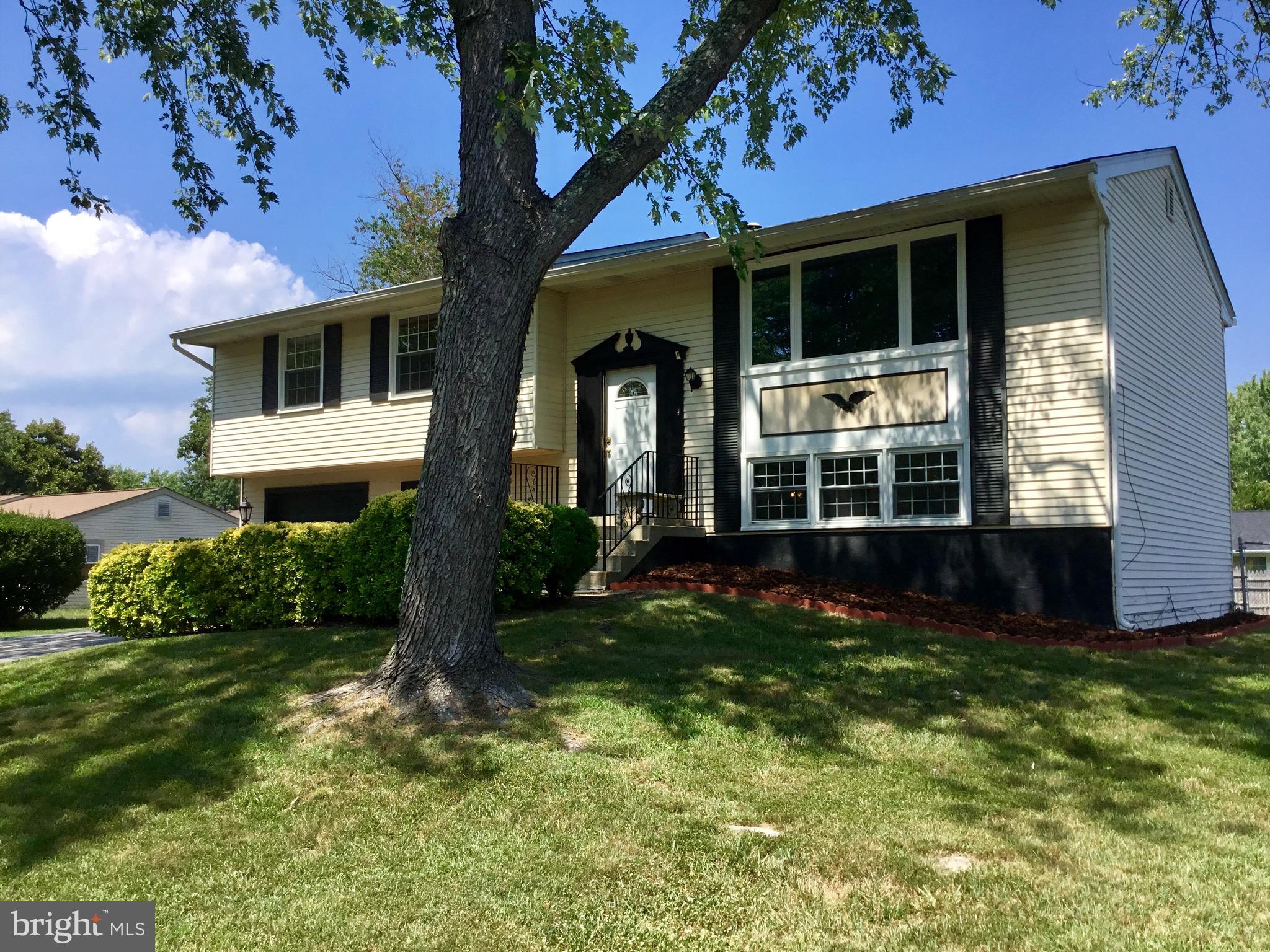 PINEFIELD - Residential