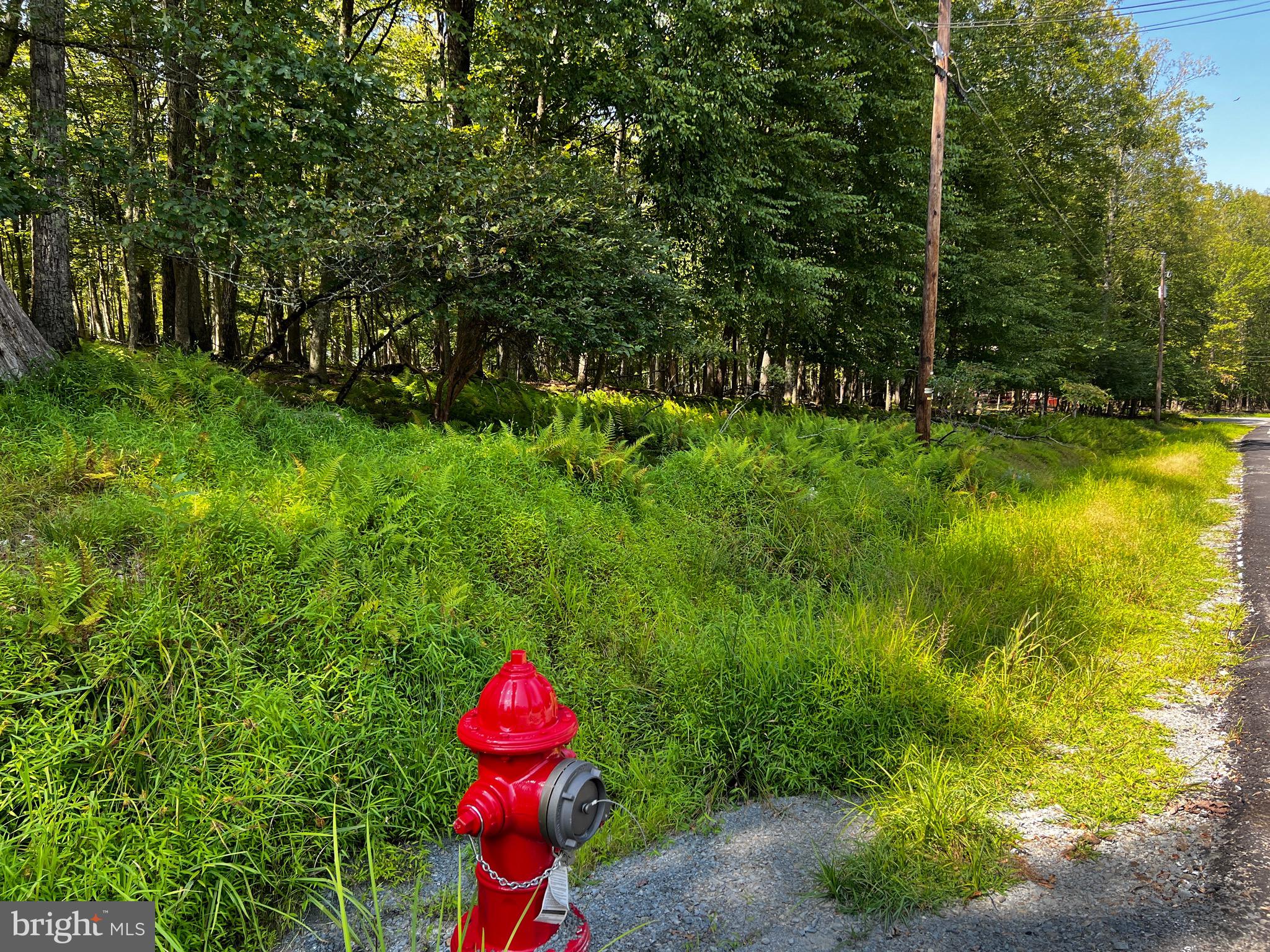 112 SPRUCE COURT LOT 244