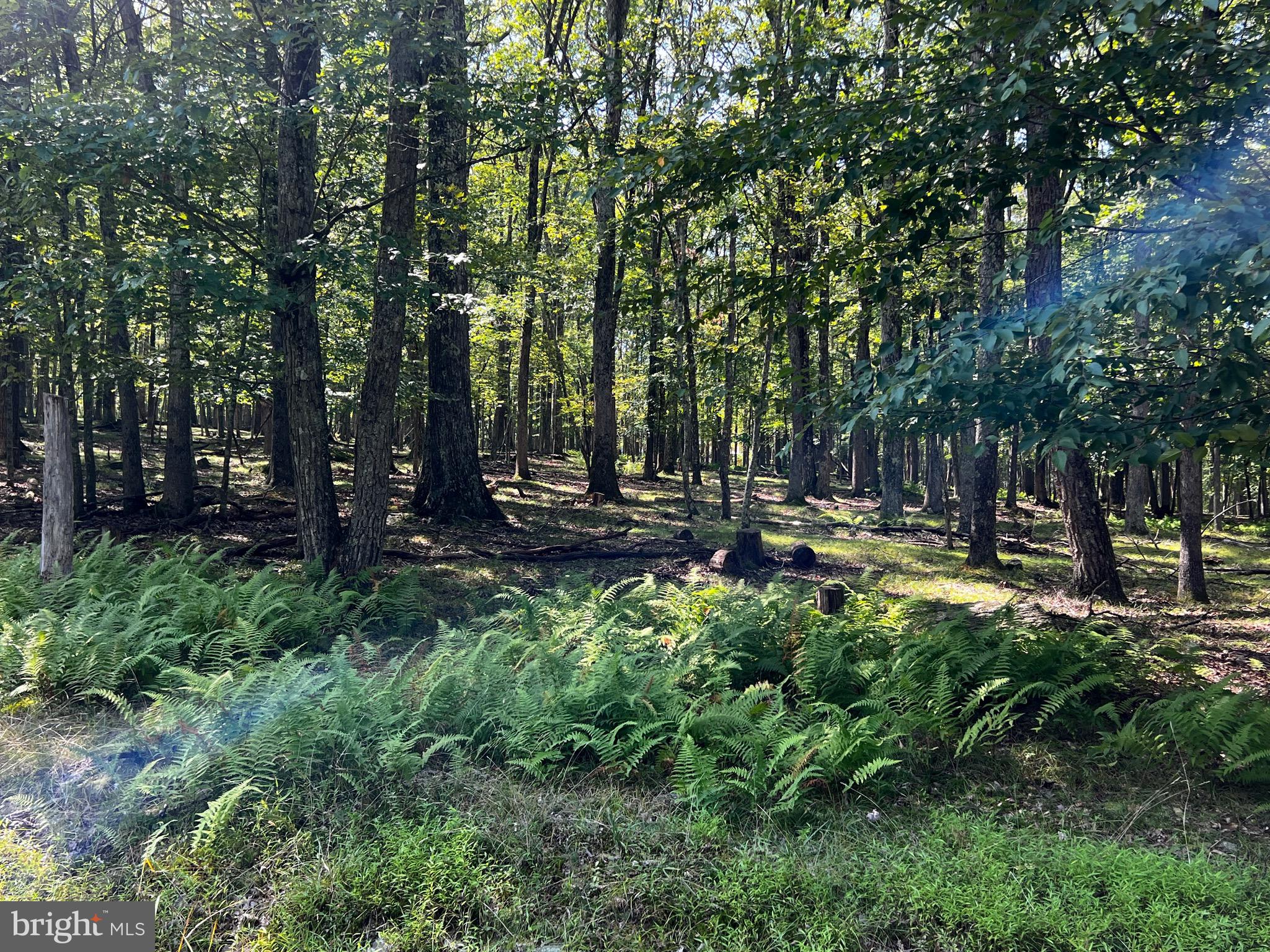 112 SPRUCE COURT LOT 244