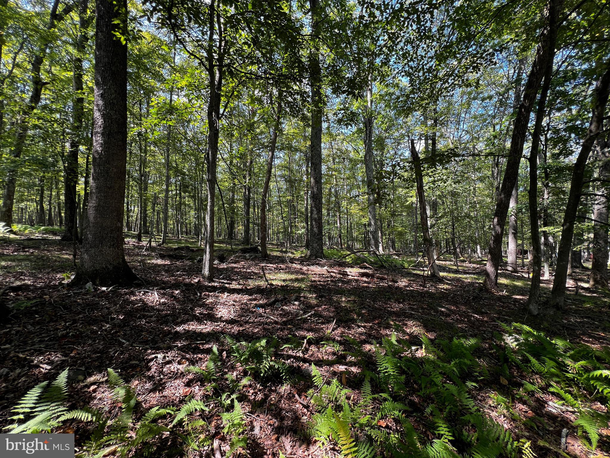 112 SPRUCE COURT LOT 244