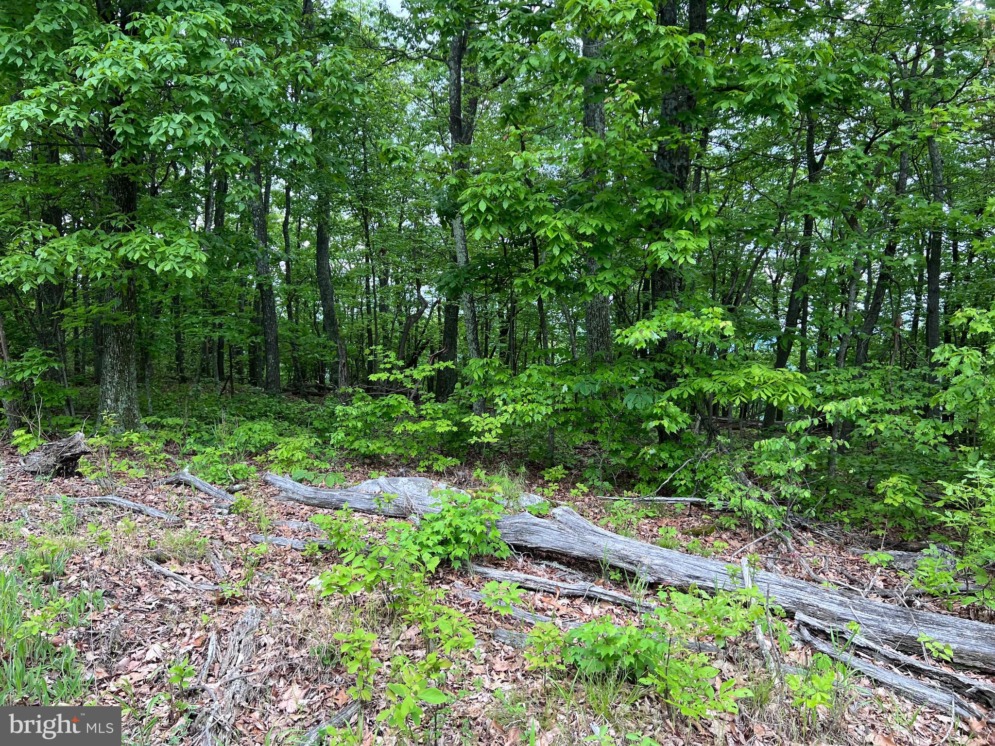 QUAINT HILLS MOUNTAIN SECTION - Land